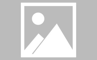 垦利网页设计师周记（网页设计周记26篇300字）